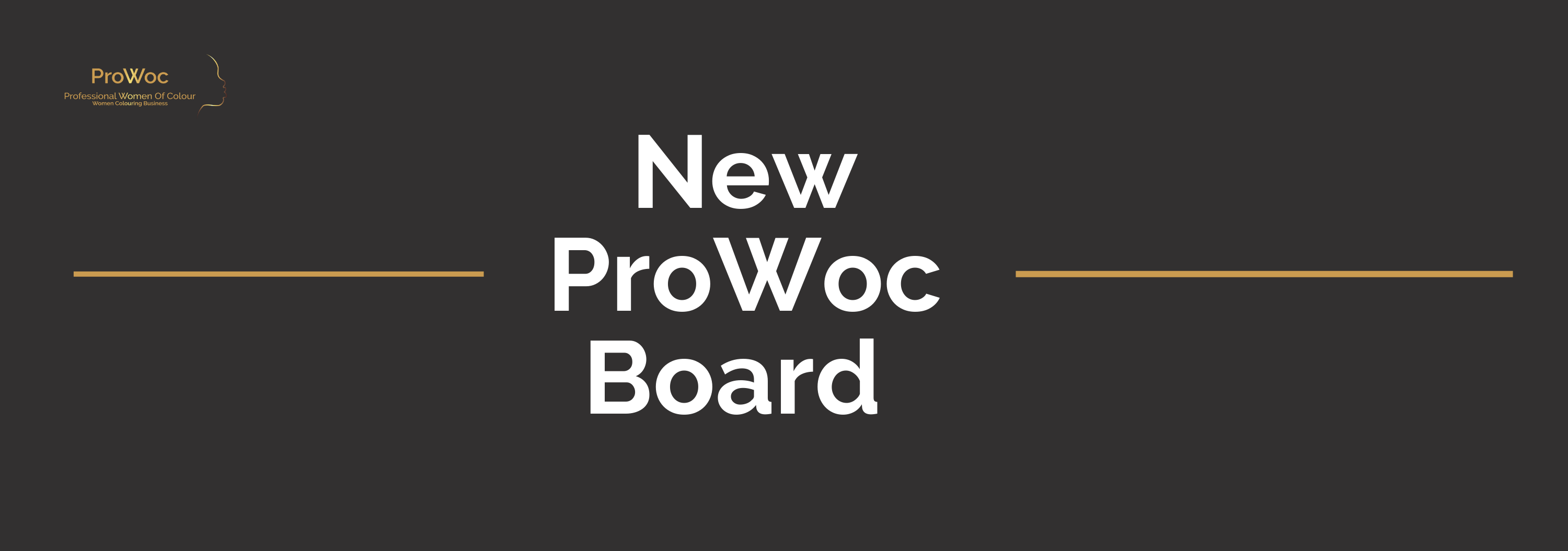New ProWoc Board banner
