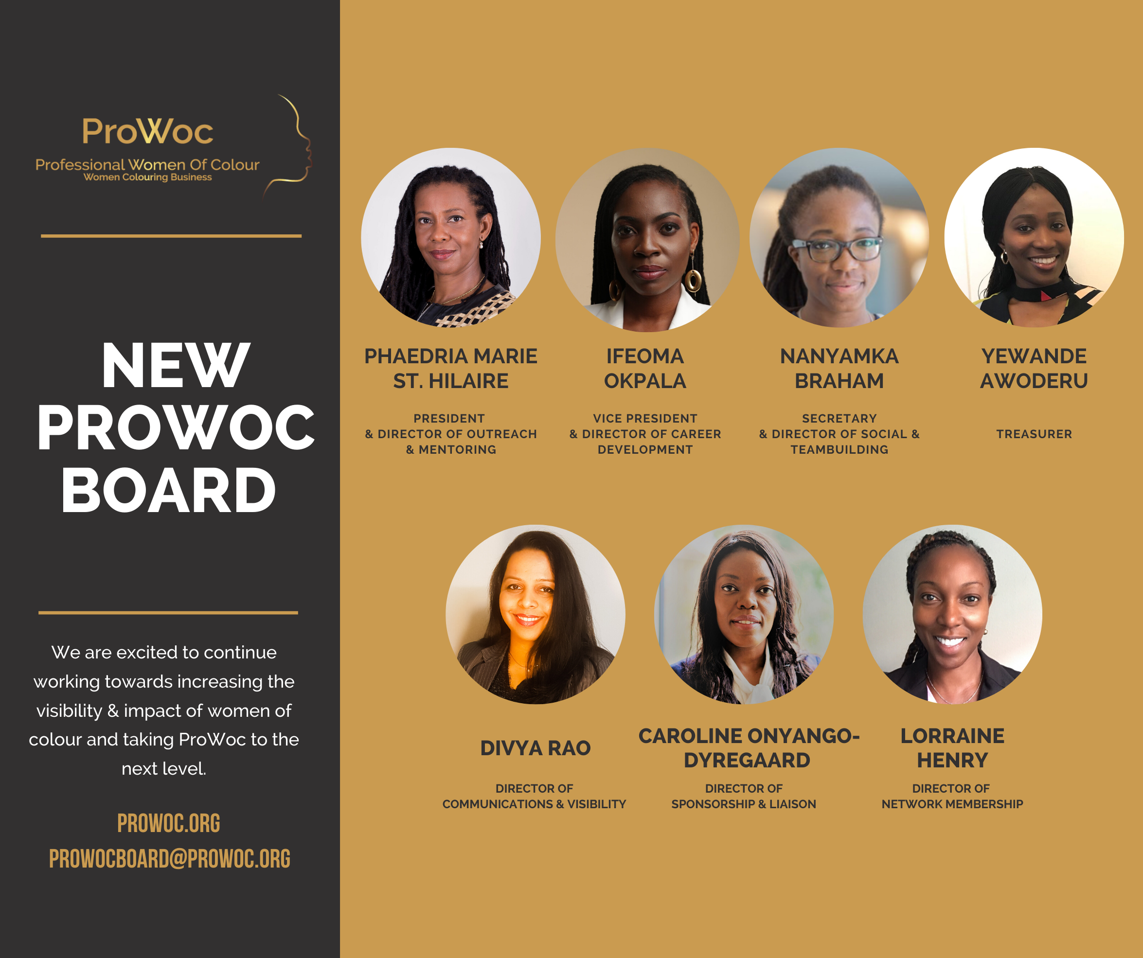 New ProWoc Board June 2020