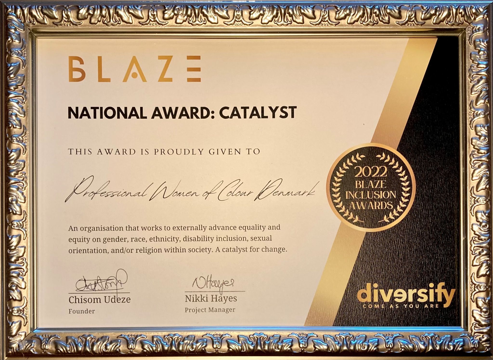 Nordic Blaze Inclusion Award in the Catalyst category
