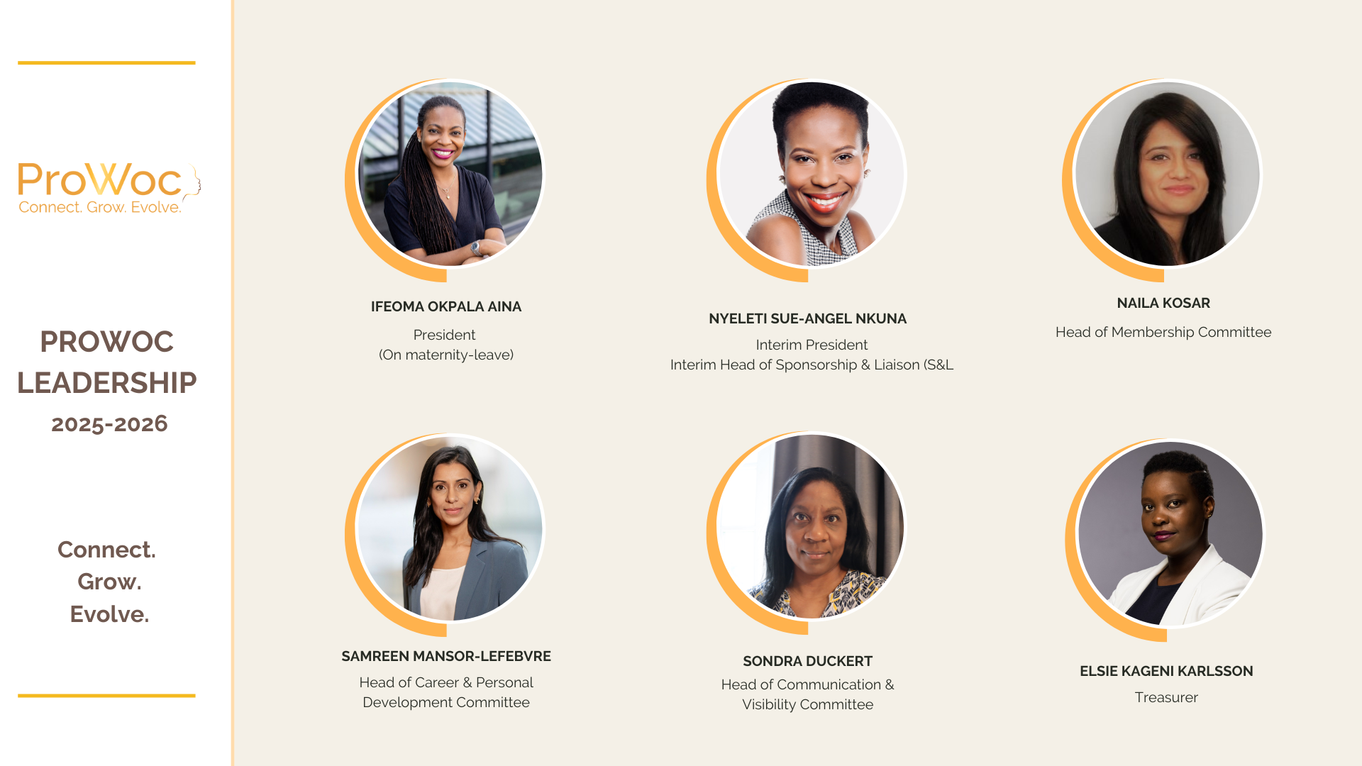 ProWoc Board- update