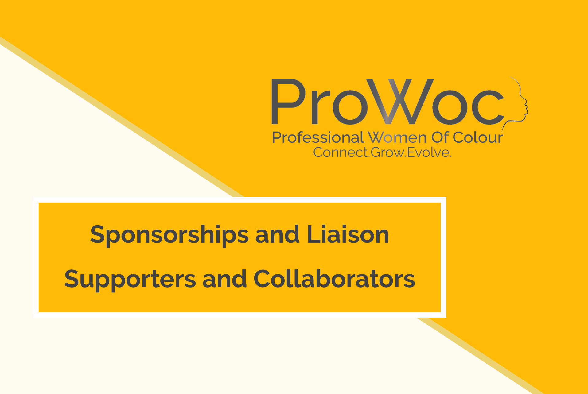 Partner and Sponsorships